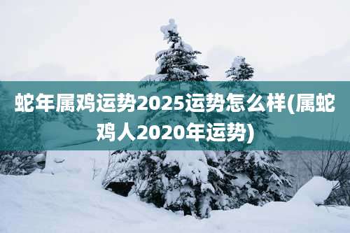 蛇年属鸡运势2025运势怎么样(属蛇鸡人2020年运势)