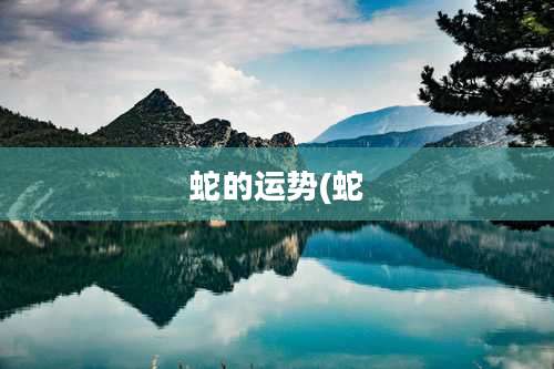 蛇的运势(蛇
