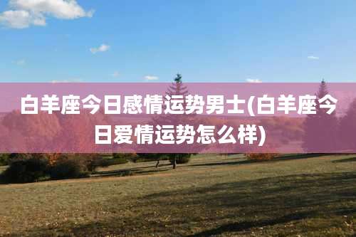 白羊座今日感情运势男士(白羊座今日爱情运势怎么样)