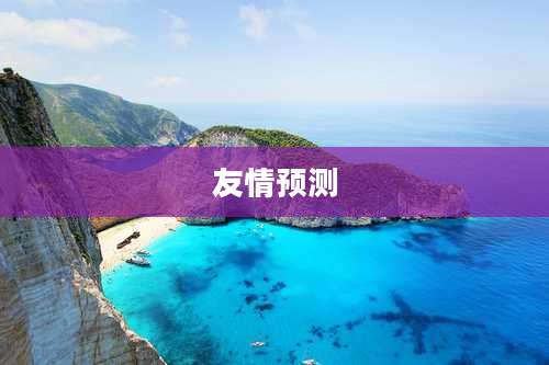 友情预测