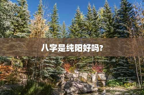 八字是纯阳好吗?