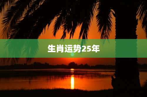 生肖运势25年