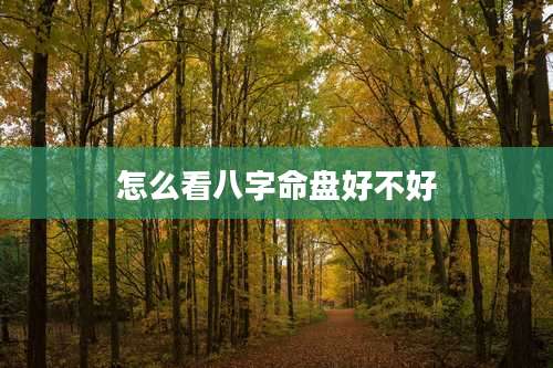 怎么看八字命盘好不好