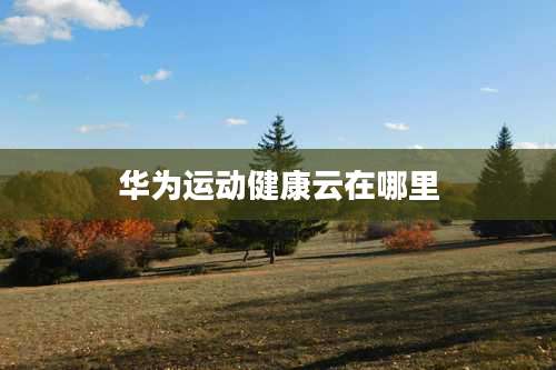 华为运动健康云在哪里