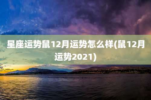 星座运势鼠12月运势怎么样(鼠12月运势2021)