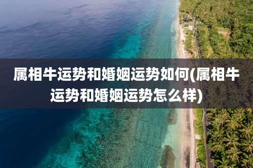 属相牛运势和婚姻运势如何(属相牛运势和婚姻运势怎么样)