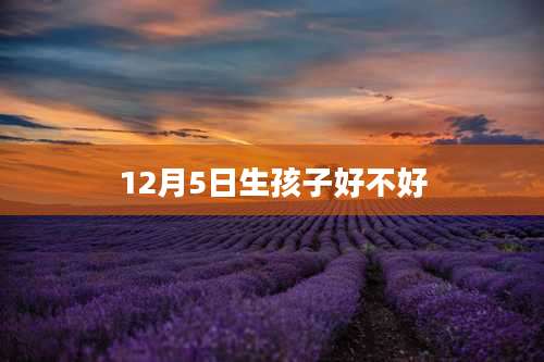 12月5日生孩子好不好
