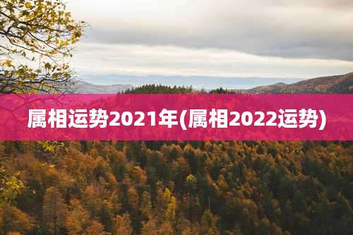 属相运势2021年(属相2022运势)