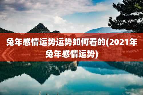 兔年感情运势运势如何看的(2021年兔年感情运势)