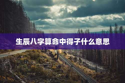 生辰八字算命中得子什么意思
