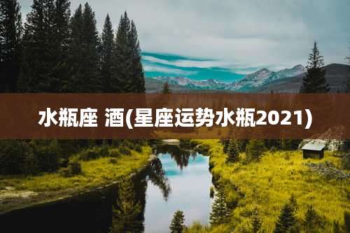水瓶座 酒(星座运势水瓶2021)