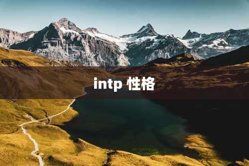 intp 性格