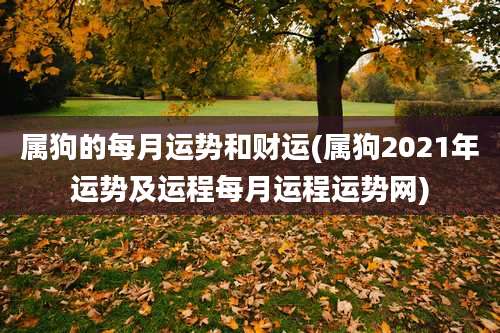 属狗的每月运势和财运(属狗2021年运势及运程每月运程运势网)