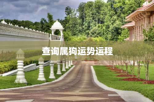 查询属狗运势运程