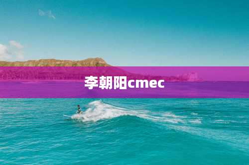 李朝阳cmec