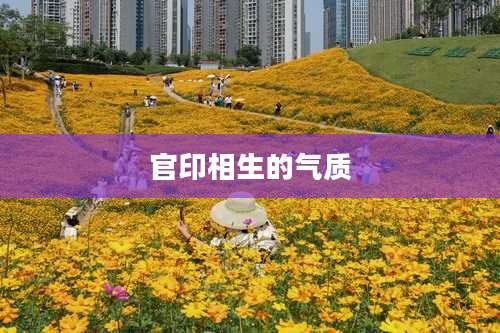 官印相生的气质