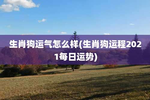 生肖狗运气怎么样(生肖狗运程2021每日运势)