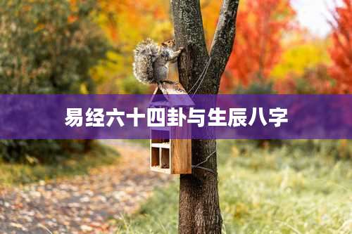 易经六十四卦与生辰八字