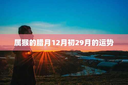 属猴的腊月12月初29月的运势