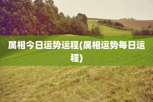 属相今日运势运程(属相运势每日运程)