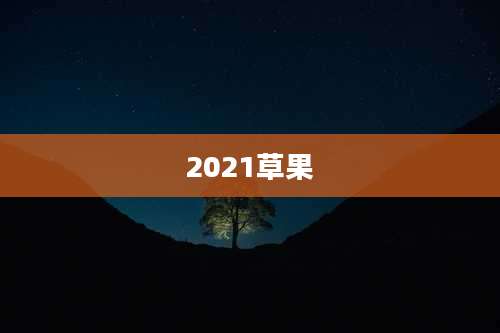2021草果