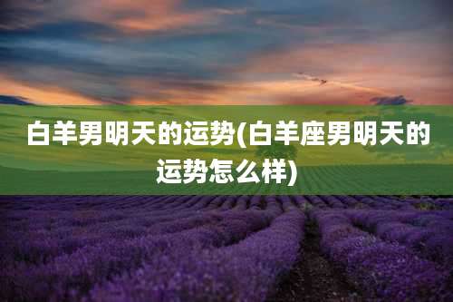 白羊男明天的运势(白羊座男明天的运势怎么样)