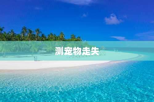 测宠物走失