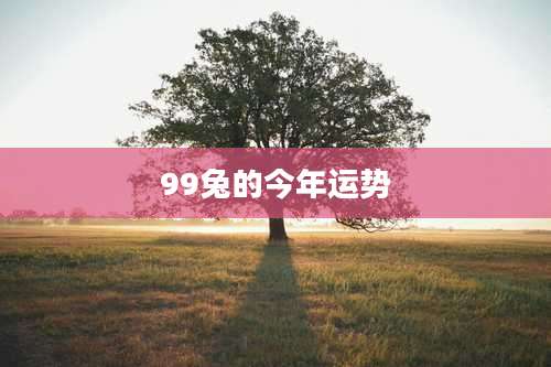 99兔的今年运势