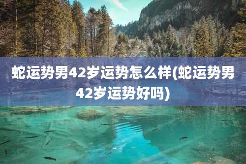 蛇运势男42岁运势怎么样(蛇运势男42岁运势好吗)