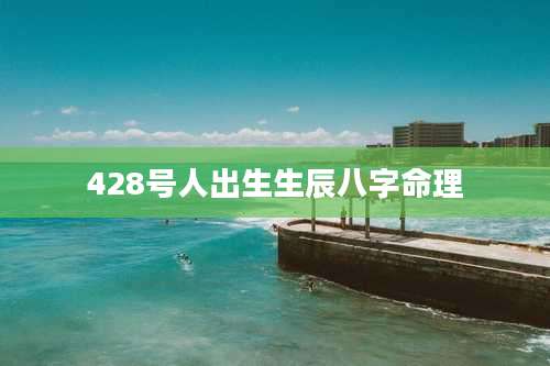 428号人出生生辰八字命理