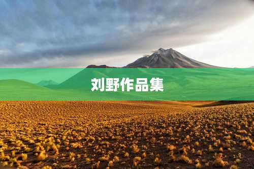 刘野作品集