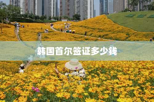 韩国首尔签证多少钱