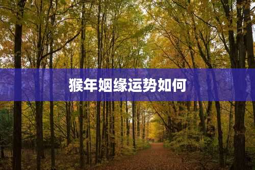 猴年姻缘运势如何