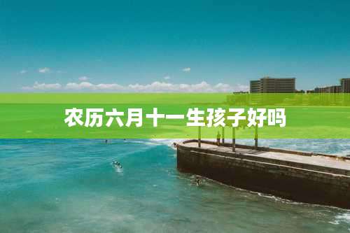农历六月十一生孩子好吗