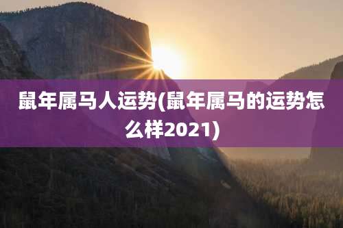 鼠年属马人运势(鼠年属马的运势怎么样2021)