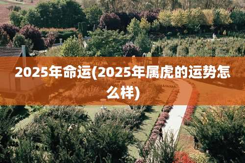 2025年命运(2025年属虎的运势怎么样)