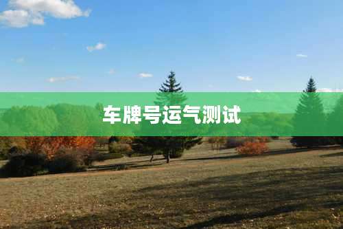 车牌号运气测试