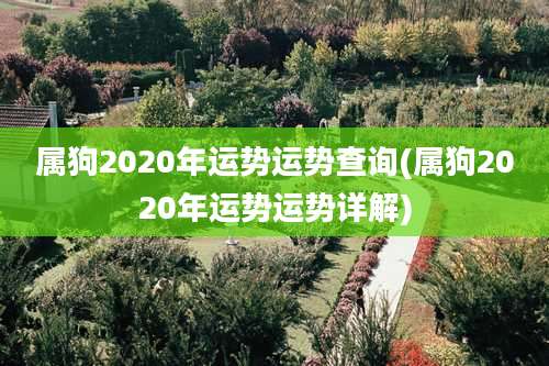 属狗2020年运势运势查询(属狗2020年运势运势详解)