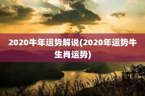 2020牛年运势解说(2020年运势牛生肖运势)