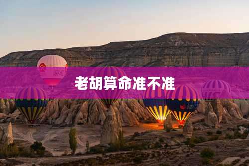 老胡算命准不准