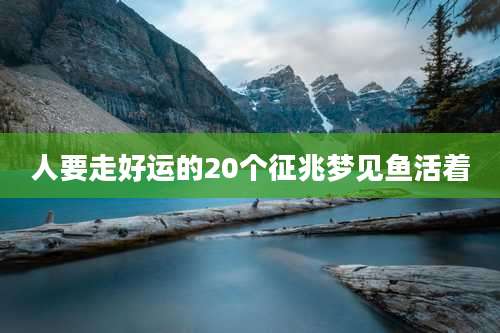 人要走好运的20个征兆梦见鱼活着