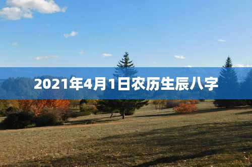 2021年4月1日农历生辰八字