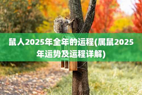 鼠人2025年全年的运程(属鼠2025年运势及运程详解)