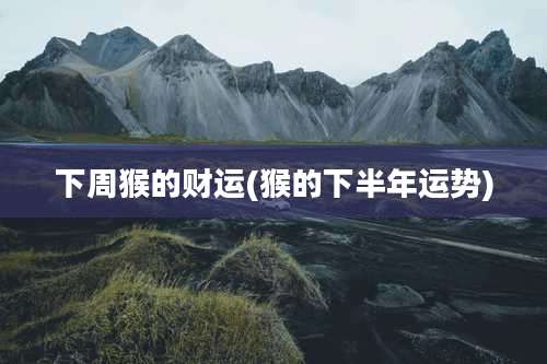 下周猴的财运(猴的下半年运势)