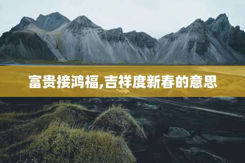 富贵接鸿福,吉祥度新春的意思