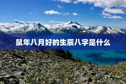 鼠年八月好的生辰八字是什么