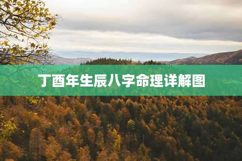 丁酉年生辰八字命理详解图