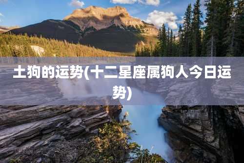 土狗的运势(十二星座属狗人今日运势)