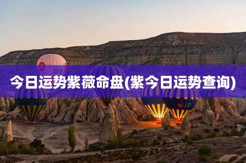 今日运势紫薇命盘(紫今日运势查询)