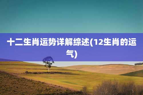 十二生肖运势详解综述(12生肖的运气)